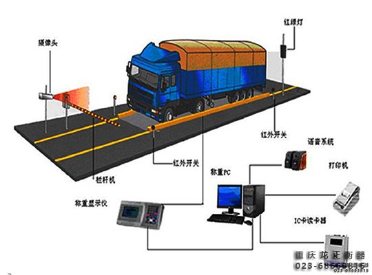 1558663260174466.jpg 5.jpg